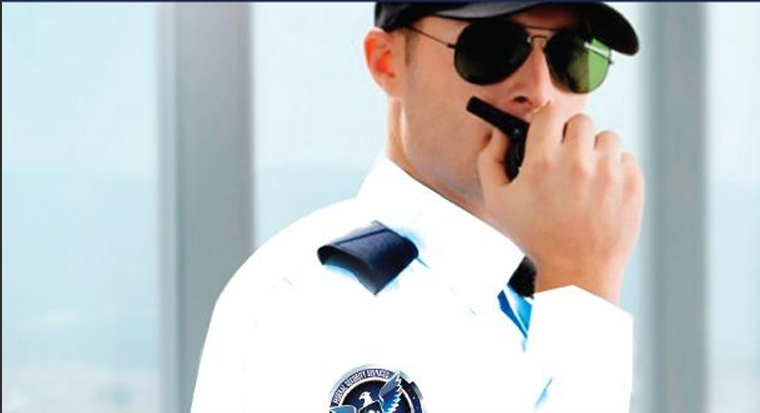 Security professionals at work